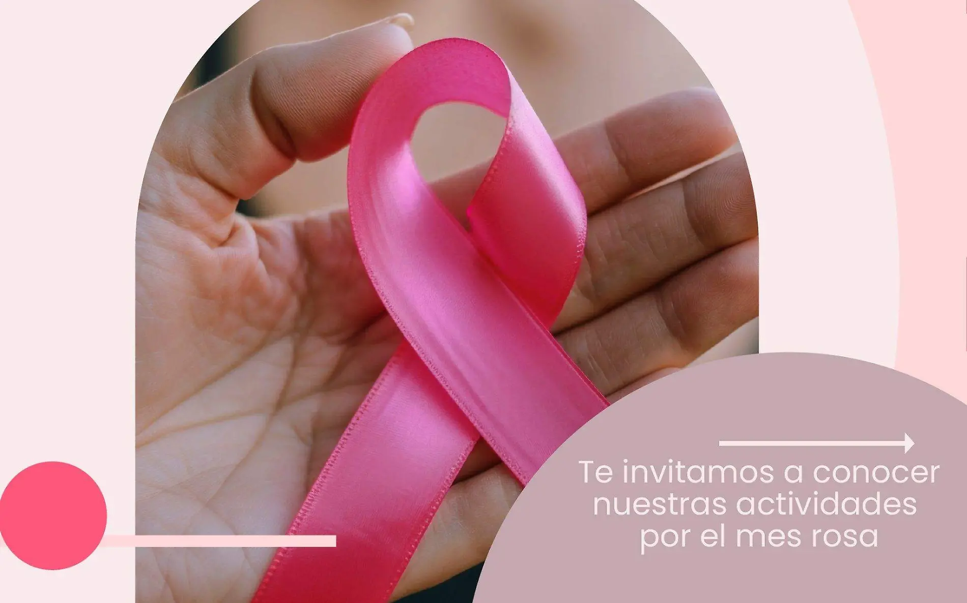 Feria de la salud - mes Rosa